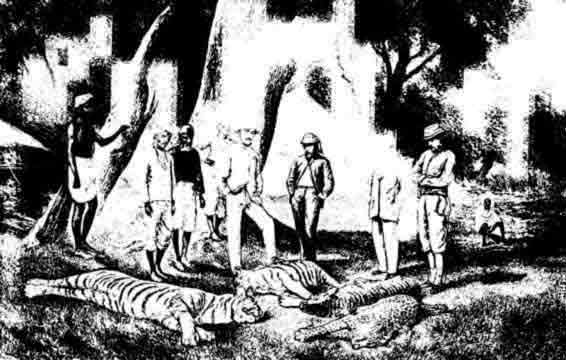 Tiger Hunting--Return to the Camp