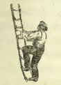 climbing a ladder