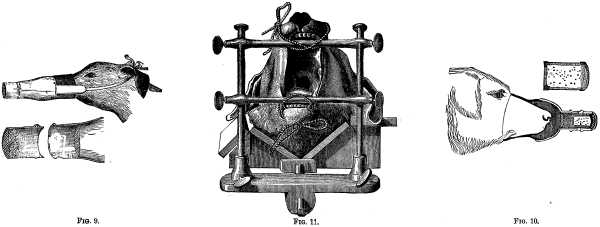 Fig. 9-11 APPARATUS USED IN VIVISECTION.