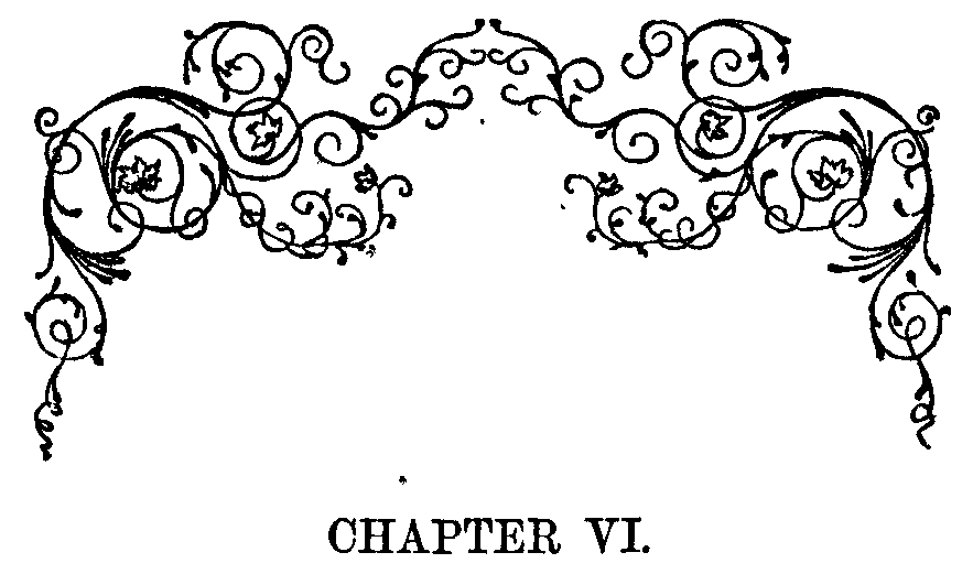 Chapter VI