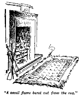 [Illustration: "<i>A small flame burst out from the rug</i>."]