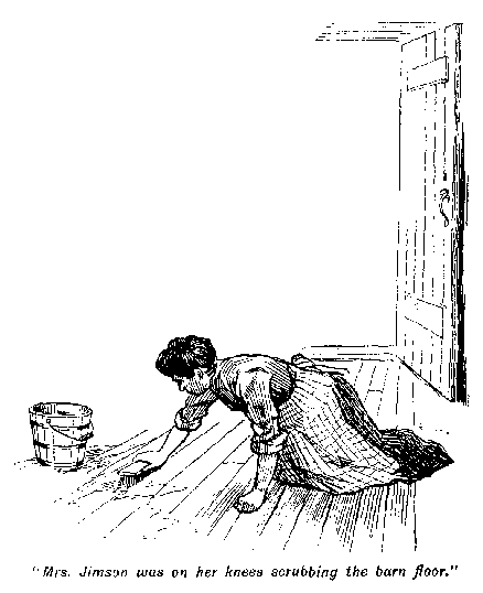 [Illustration: "<i>Mrs. Jimson was on her knees scrubbing the barn floor</i>."]