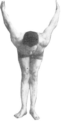 FIG. 17.—"WING" POSITION, ALSO BACK POSITION OF "CURL." FACE SHOULD, HOWEVER, BE TURNED UP