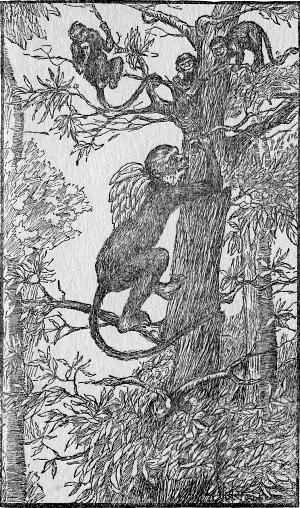 Mr. Monkey, with a bunch of bananas slung over his back, came scrambling up to the tree-house. (Page 25)