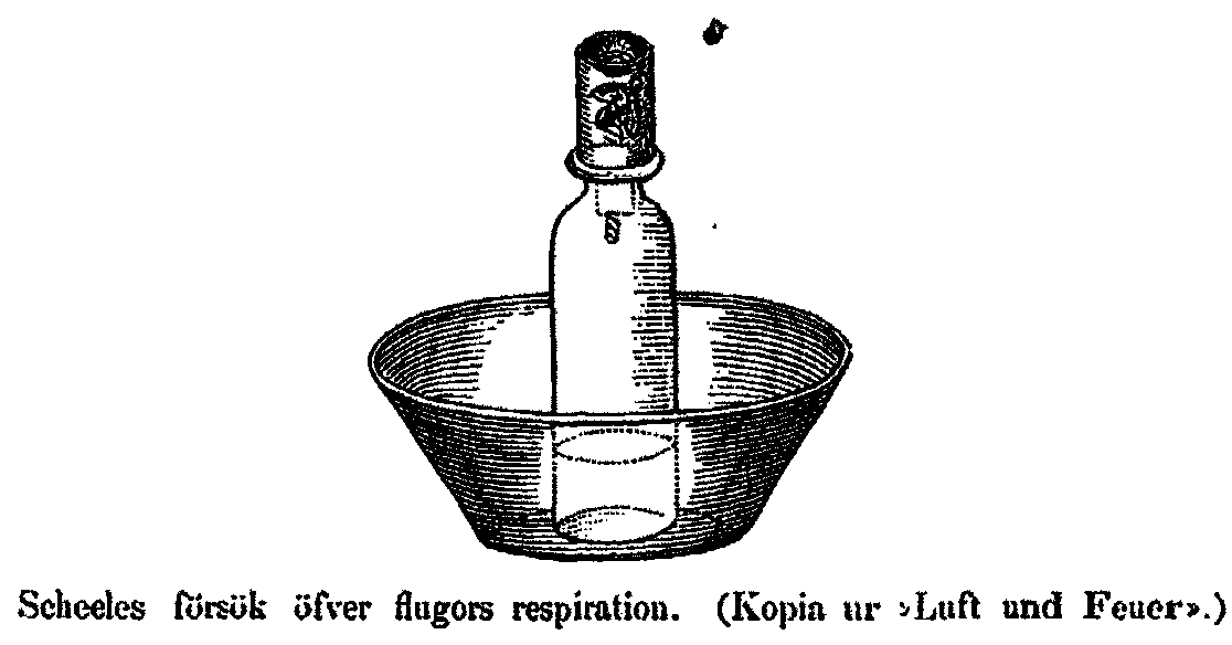 Scheeles försök öfver flugors respiration. (Kopia ur "Luft und Feuer".)