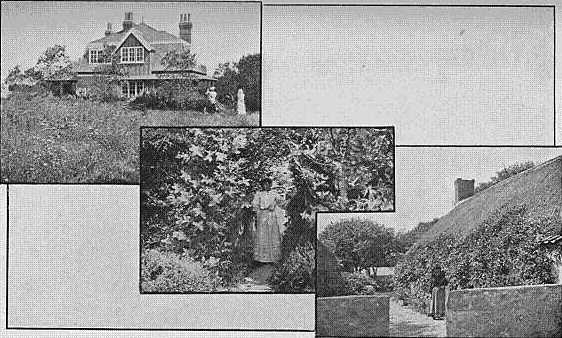 The Red House. The gap in the hedge. The cottage.