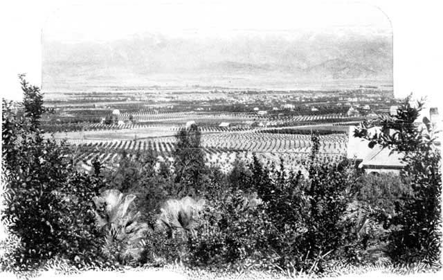 THE SIERRA MADRE AND THE SAN GABRIEL VALLEY.