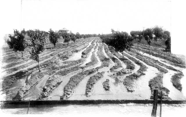 IRRIGATING DITCHES.