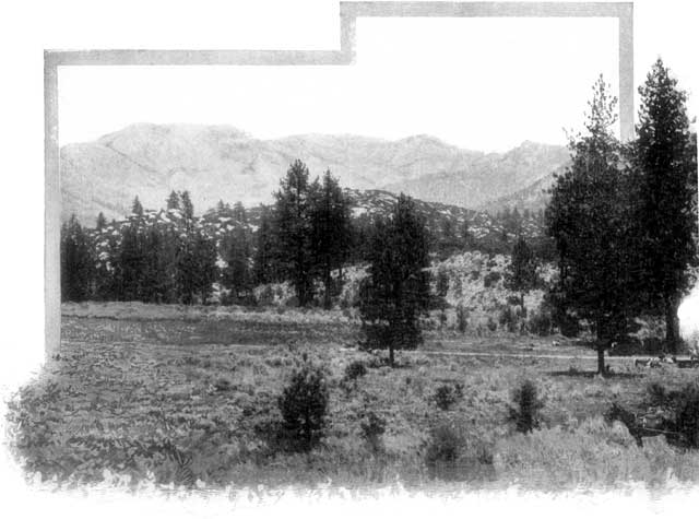 HERMIT VALLEY NEAR SAN DIEGO.