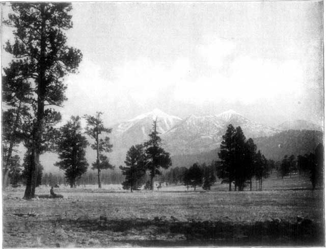 THE SAN FRANCISCO MOUNTAIN.