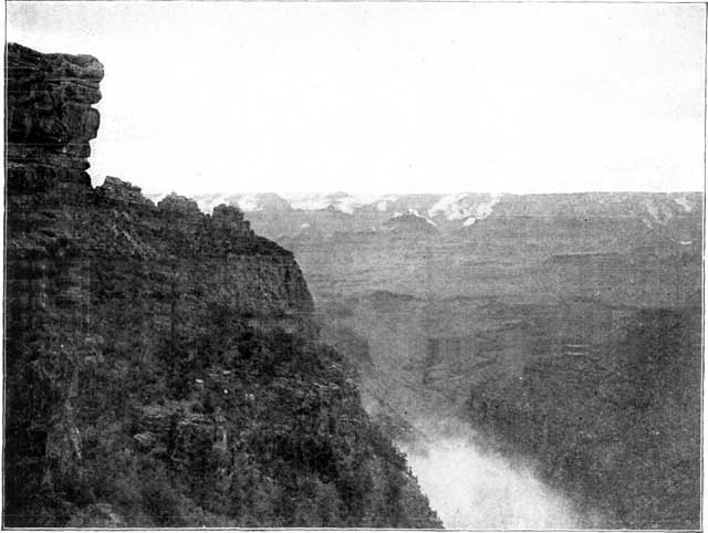 MIST IN THE CAÑON.