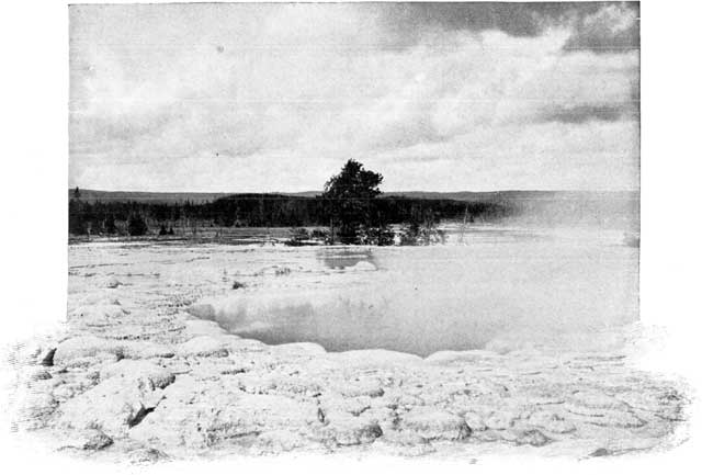 A GEYSER POOL.