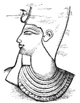 HEAD OF HATASU.