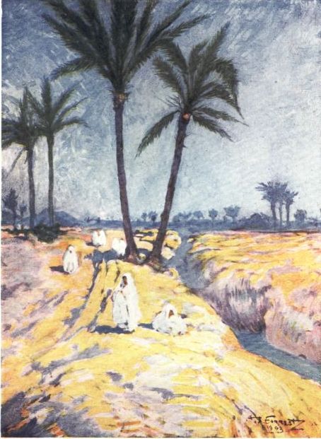 DATE PALMS NEAR MARRAKESH