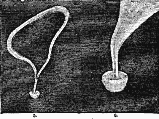 Figs. 5 and 6..—SMOKE RINGS BREAKING UP.