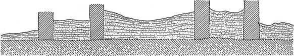 Plate CXIX l-m