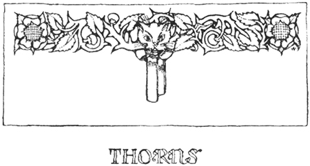 Thorns