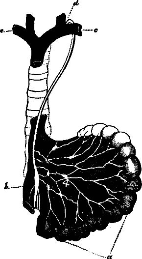 Illustration: Fig. 32.