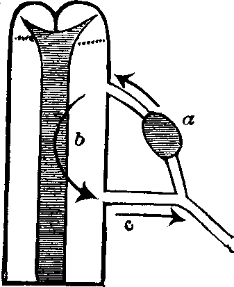 Illustration: Fig. 57.