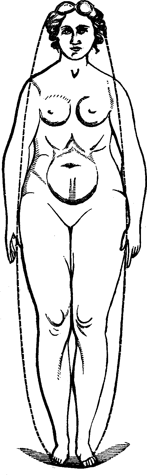 Illustration: Fig. 101. Female