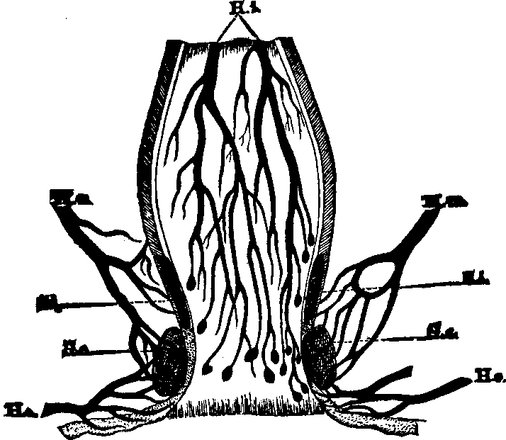 Illustration: Fig. 3.