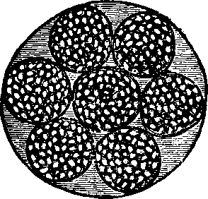 Illustration: Fig. 8.