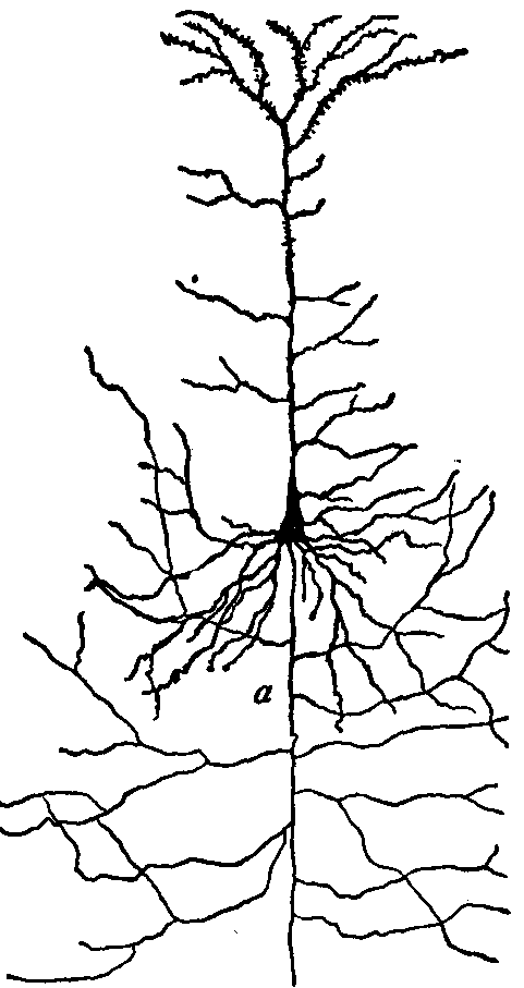 Fig. 131