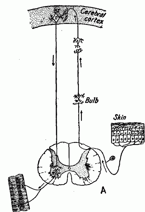 Fig. 140