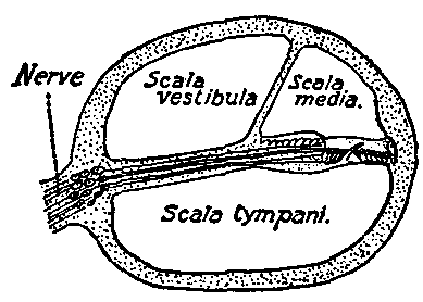 Fig. 153