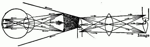 Fig. 158