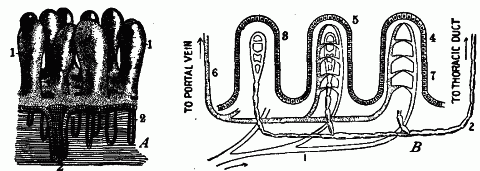 Fig. 76