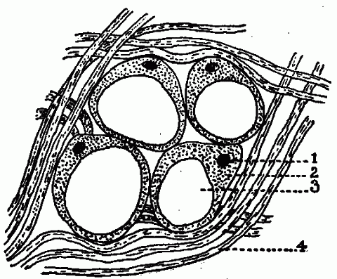 Fig. 79