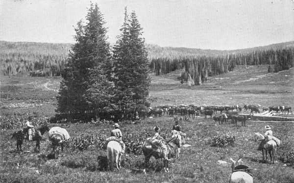 COWBOYS AT THE ROUND-UP.