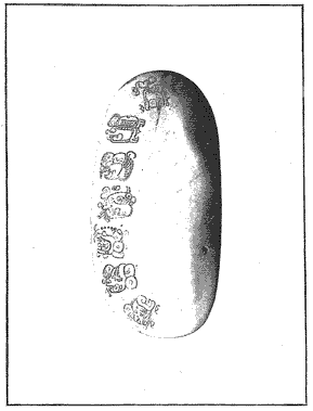 PL. LXIX SHELL BEARING MAYA GLYPHS This shell, on which are engraved seven Maya hieroglyphs, was found in Belize and courteously sent to the Bureau of American Ethnology by Sir Alfred Moloney, Governor of British Honduras. The shell is here figured for the purpose of placing it before students of Central American paleography.