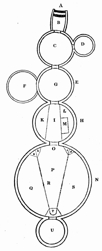 Plan of an Esquimaux snow-house