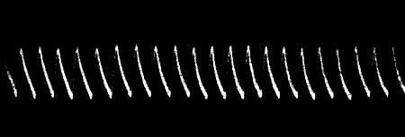 Fig. 16.—Uniform Responses (Radish)