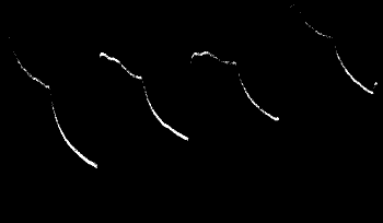 Fig. 25.—Effect of Continuous Vibration (through 50°) in Carrot