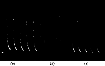 Fig. 72.—Diminution of Response due to Shortening the Period of Recovery