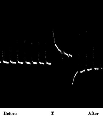 Fig. 80.—Enhanced Response in Platinum after Continuous Stimulation T