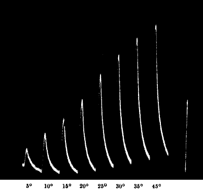 Fig. 83.—Records of Responses in Tin with Increasing Stimuli, Amplitudes of Vibration from 5° to 40°