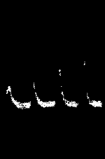 Fig. 85.—Effect of Superposition on Tin