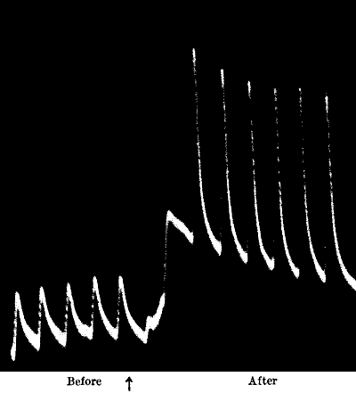 Fig. 89.—Stimulating Action of Na2CO3 on Tin