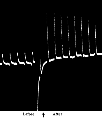 Fig. 90.—Stimulating Action of Na2CO3 on Platinum