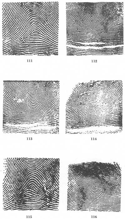 Figs. 111-116