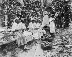 WORKERS ON A CACAO PLANTATION. (Messrs. Cadbury's estate in Trinidad.)