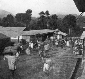 CARRYING CACAO TO THE RAILWAY STATION, NSAWAM, GOLD COAST.