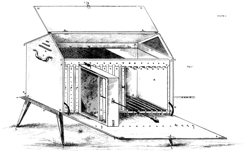 PLATE I. Fig. 1.