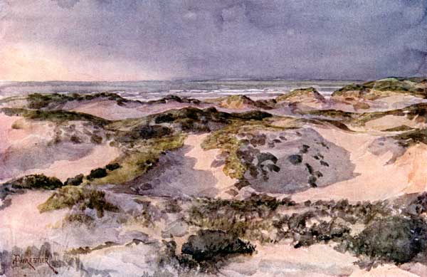 THE DUNES.