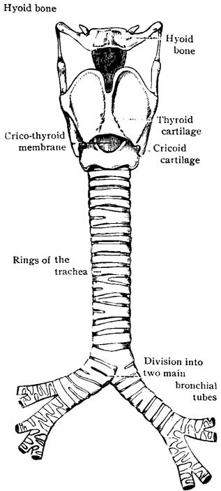 Fig. 9 front