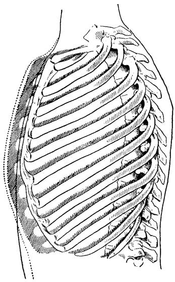 Fig. 12